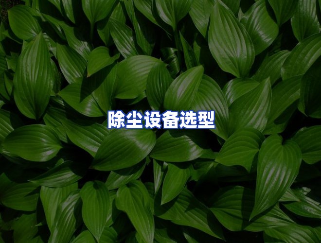 专业团队